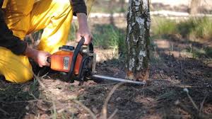 Soil Testing and Treatment in Lake Ketchum, WA