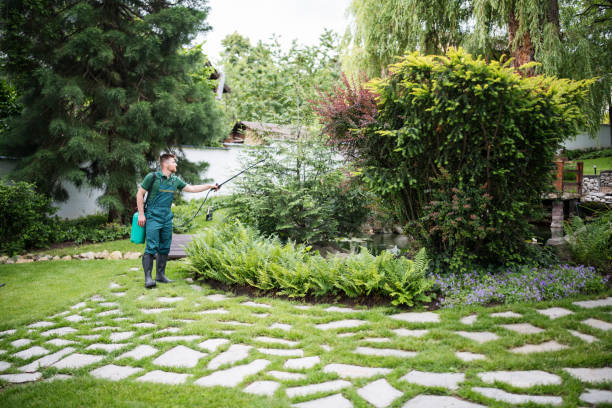 Best Organic Lawn Care Solutions  in Lake Ketchum, WA